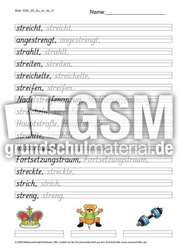 DSS_2S_Bu_str_Nr_01.pdf